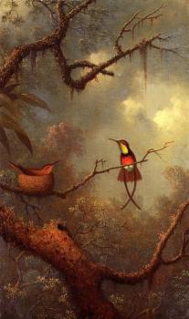 Martin Johnson Heade : Hummingbirds